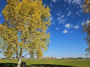 Alamosa Family Recreation Center
