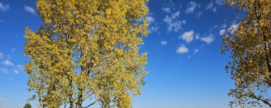 Alamosa Family Recreation Center