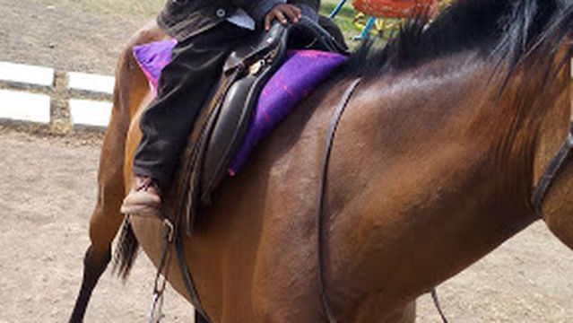 New Creation Church, Nakuru