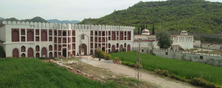 MUHAMMAD Gallery