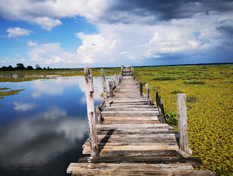 สะพานไม้ ทุ่งบัวแดง บึงละหาน (บ้านมะเกลือ) อ.จัตุรัส
