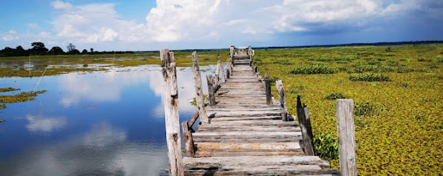 Wooden bridge, Thung Bua Daeng, Ban Maklua