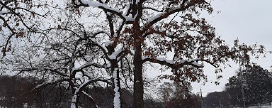James Heddon Park