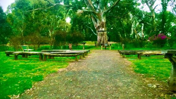 BIG4 Barossa Tourist Park