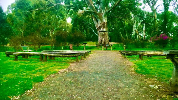 BIG4 Barossa Tourist Park