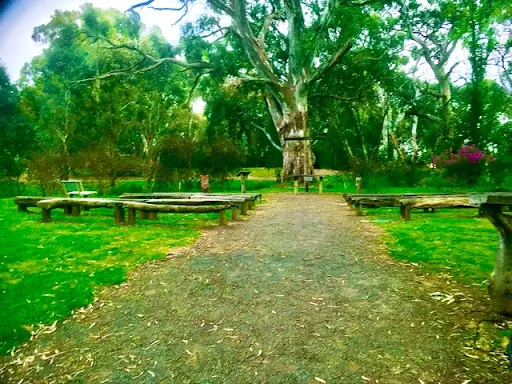 BIG4 Barossa Tourist Park