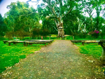 BIG4 Barossa Tourist Park