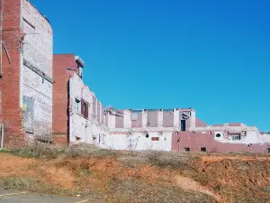 Flea Town USA