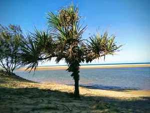 Alva Beach Park