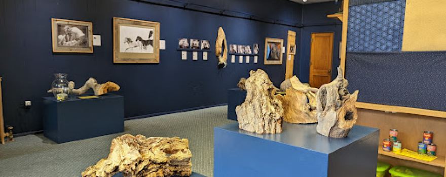 Meadowlark Gallery/ Perkins County Area Arts Council
