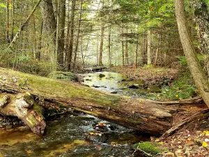 Franklin Lake Campground