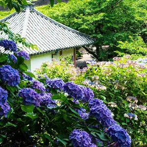 仁平寺