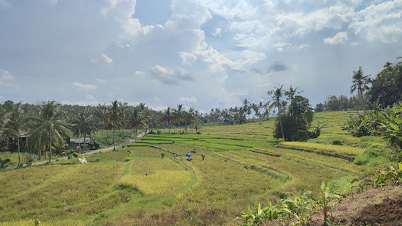 Banyuwangi Regency