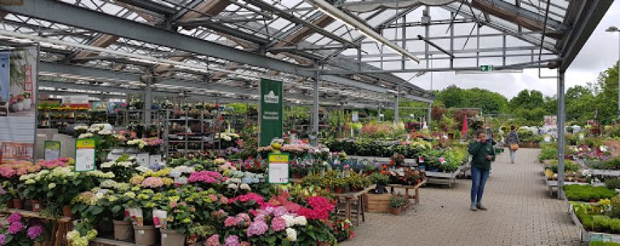Dehner Garten-Center
