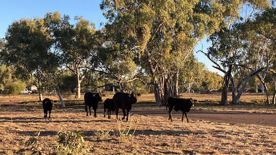 Mary Kathleen Abandoned Township