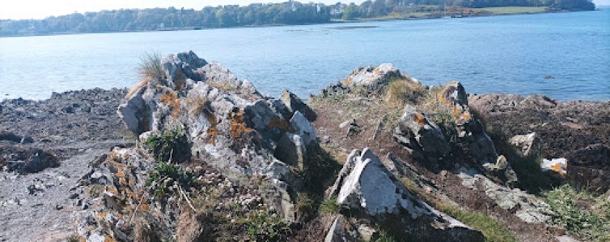 Strangford Castle