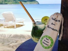baligreenbamboo