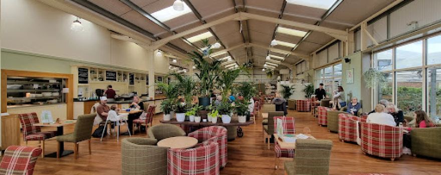 Yew Tree Garden Centre