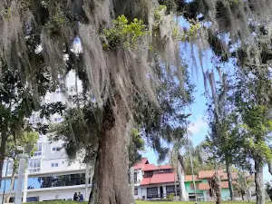 Parque do Capão