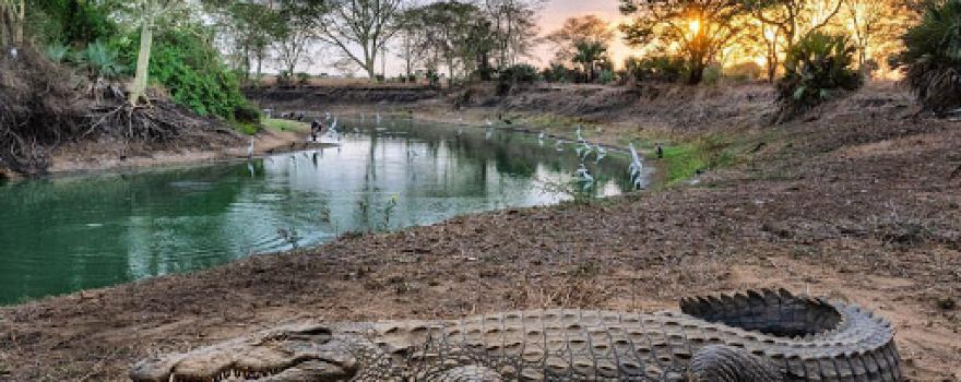 Gorongosa National Park