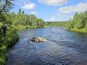 Kappruet