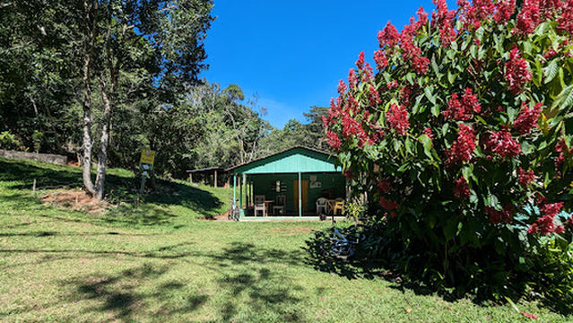 Caseta de Anton sape bueno