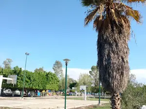 Unidad Deportiva
