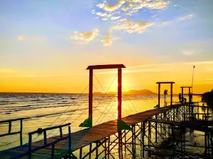 Wisata Mangrove Polaria
