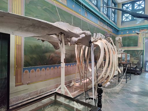 Carthage Oceanographic Museum