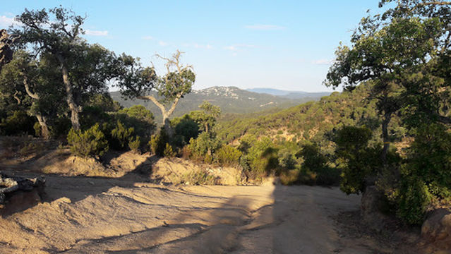 Ermita de Mare de Déu de Gràcia