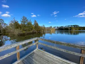 Lone Star Lakes Park