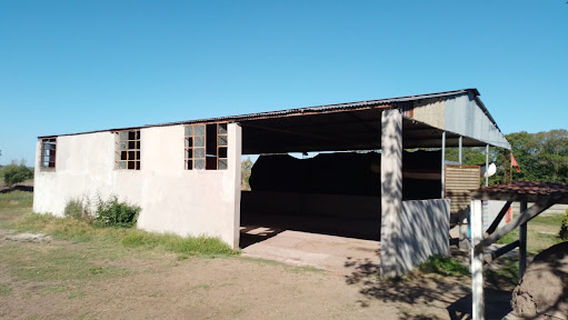 Camping Tierra y Frutos