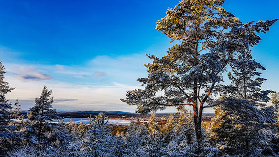 Storkasberget utsiktstorn