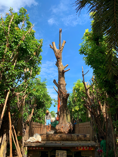 Flüge Hanoi Krong Ta Khmau