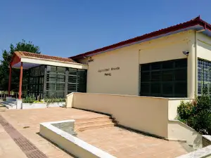 Archaeological Museum of Aeani