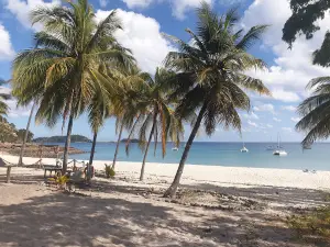 Percy Isles National Park