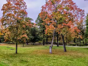 Jelgavas pils parks