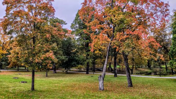 Jelgavas pils parks