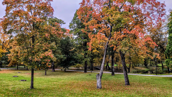 Jelgavas pils parks