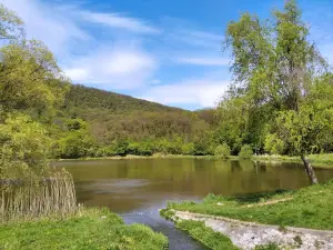 Gerecsei Landscape Protection Area
