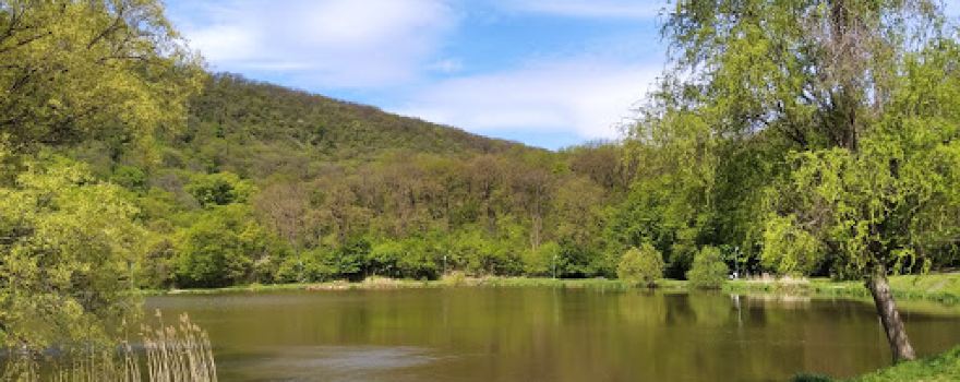 Gerecsei Landscape Protection Area