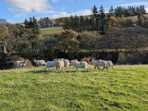 North Pennines National Landscape
