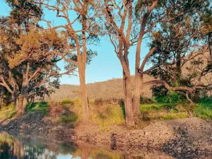 Goomburra Valley Campground