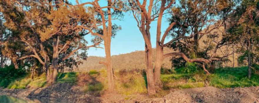 Goomburra Valley Campground