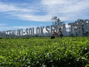 Kebun Teh Liki