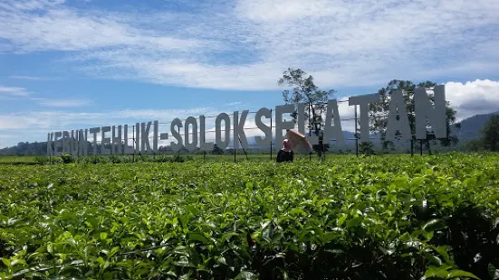 Kebun Teh Liki