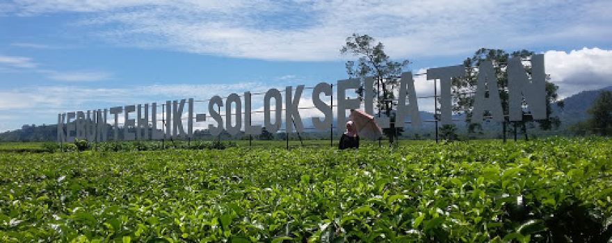 Kebun Teh Liki
