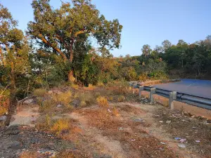 Highway View Point