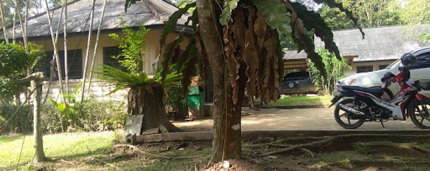 Khlong Yan Wildlife Sanctuary