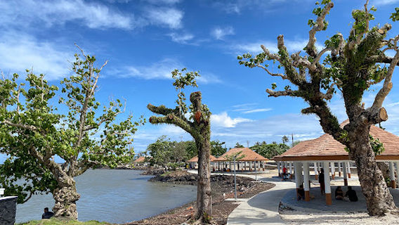 Lions Park